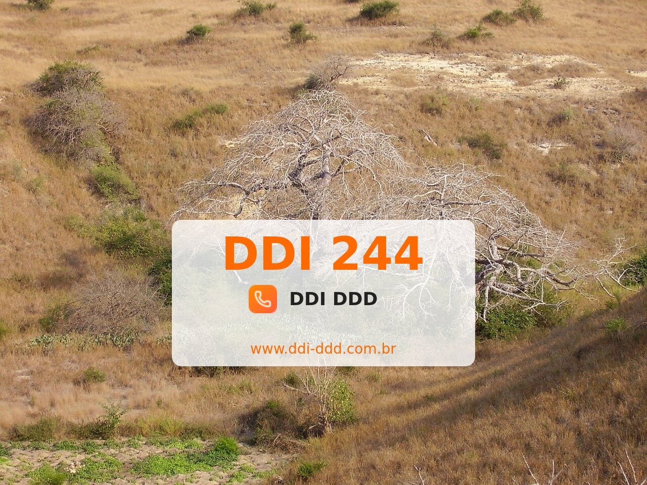 DDI 244 Imagem com DDI 244 - Angola